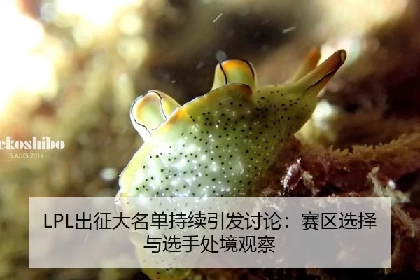LPL出征大名单持续引发讨论:赛区选择与选手处境观察